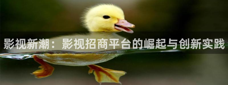 飘花电影飘雪电影：影视新潮：影视招商平台的崛起与创新实践