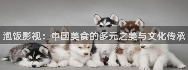 飘花伦理影院：泡饭影视：中国美食的多元之美与文化传承