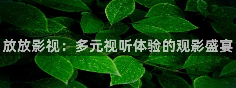 飘花影院伦理在线观看：放放影视：多元视听体验的观影盛宴