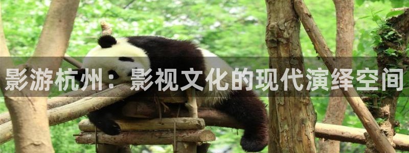 飘花影院官网：影游杭州：影视文化的现代演绎空间
