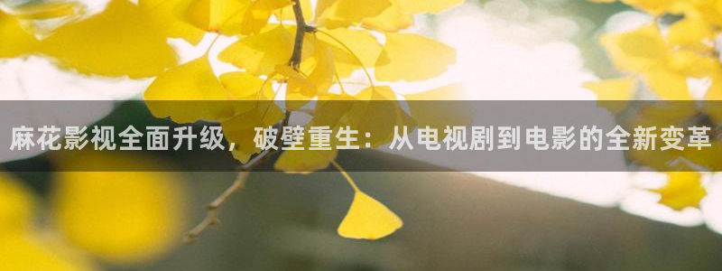 飘花电影院看电影：麻花影视全面升级，破壁重生：从电视剧到电影的全新变革