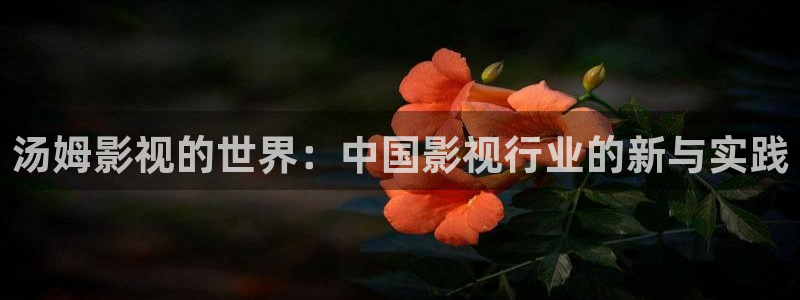 飘花影院免费在线观看：汤姆影视的世界：中国影视行业的新与实践