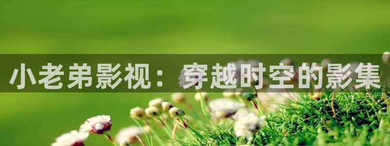 飘花福利影院：小老弟影视：穿越时空的影集