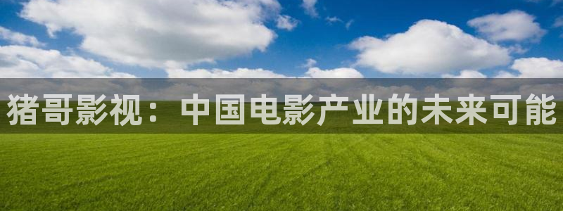 飘花网手机版在线观看电视剧：猪哥影视：中国电影产业的未来可能