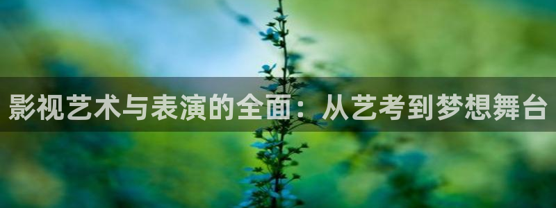飘花电影网网：影视艺术与表演的全面：从艺考到梦想舞台
