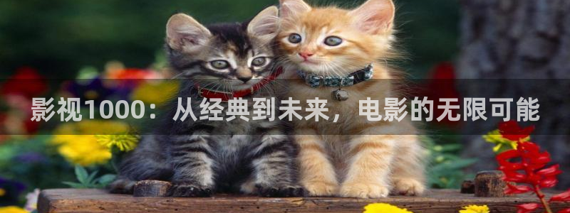 飘花影院午夜理论片：影视1000：从经典到未来，电影的无限可能