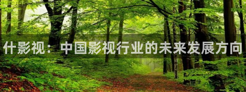 飘花免费影院天堂网：什影视：中国影视行业的未来发展方向
