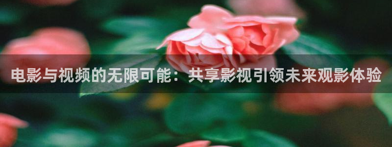 飘花电影在线手机免费观看：电影与视频的无限可能：共享影视引领未来观影体验